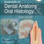 Essentials of Dental Anatomy & Oral Histology (Color)
