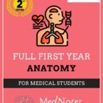 Full First Year Anatmoy Notes (Color)