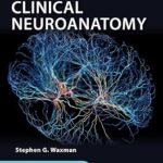 Clinical Neuroanatomy (Color)